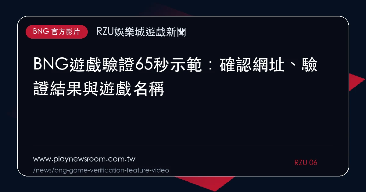 BNG遊戲驗證65秒示範：確認網址、驗證結果與遊戲名稱｜編輯圖解